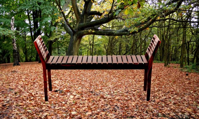 Nest Honest Sheesham Wood Bench for Home in Mahogany/Walnut Finish - Brown